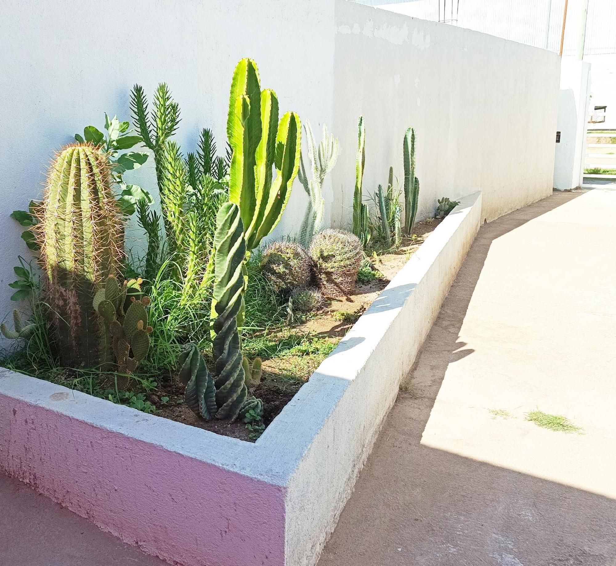 Apartment Alpaca La Rioja